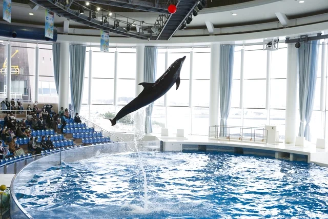 茨城 アクアワールド茨城県大洗水族館 入場Eチケット 予約