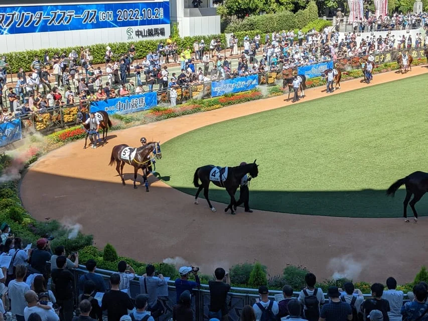 Tokyo Horse Racing Tour with Local Fans (Entry Ticket Included)