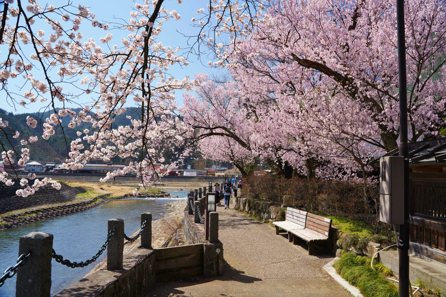Learn About Medicinal Herbs on a Tour of Hida-Furukawa, Gifu
